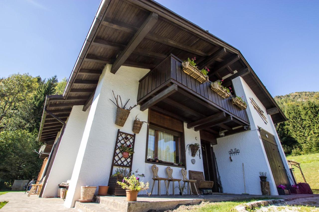 Orizzonti Montani Apartment Pieve di Cadore Ngoại thất bức ảnh