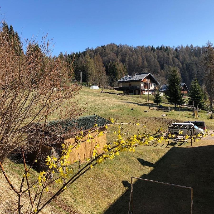 Orizzonti Montani Apartment Pieve di Cadore Ngoại thất bức ảnh